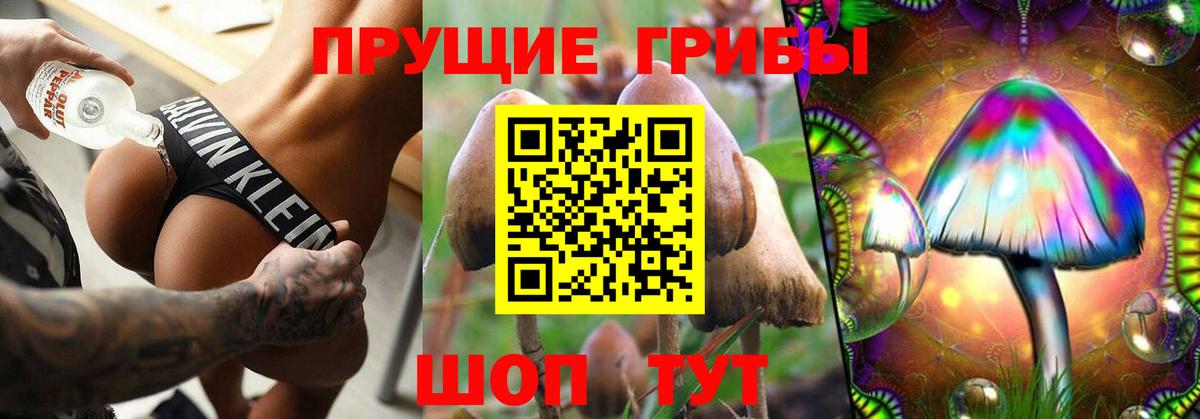 Кашира  Псилоцибиновые грибы Magic Shrooms  Вход с VPN 